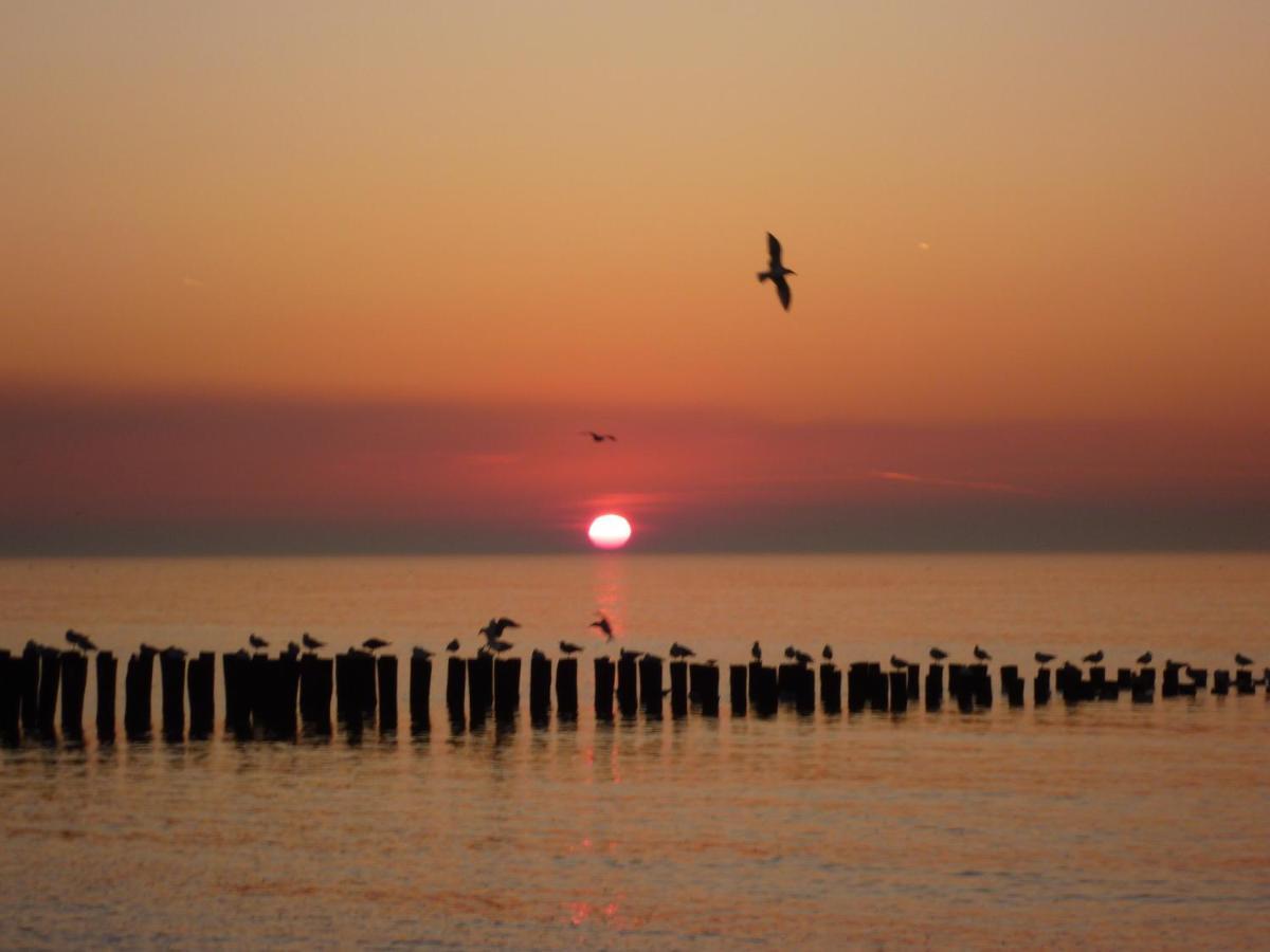 Vakantiehuis Domburg Do08 Met Sauna! Екстер'єр фото